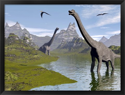 Framed Brachiosaurus dinosaurs walking in a stream on a beautiful day Print