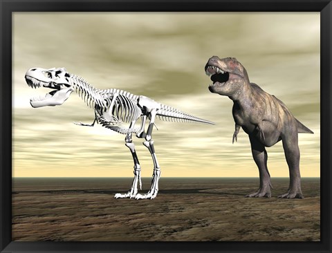 Framed Comparison of Tyrannosaurus Rex standing next to its fossil skeleton Print