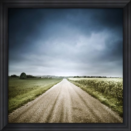 Framed Country road through fields, Denmark Print