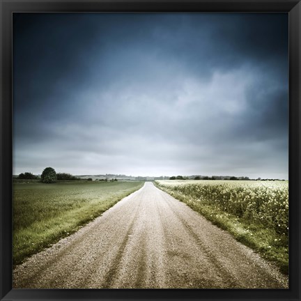 Framed Country road through fields, Denmark Print