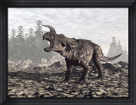 Framed Einiosaurus dinosaur roaring in nature Print