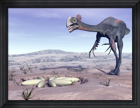 Framed Female Gigantoraptor dinosaur walking to its nest full of eggs Print