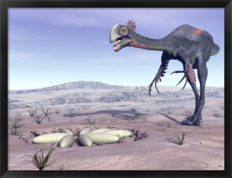 Framed Female Gigantoraptor dinosaur walking to its nest full of eggs Print