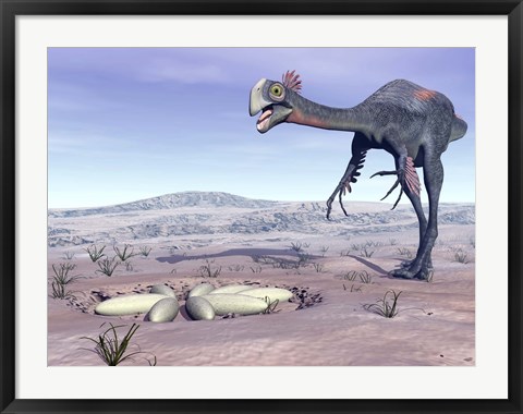 Framed Female Gigantoraptor dinosaur walking to its nest full of eggs Print