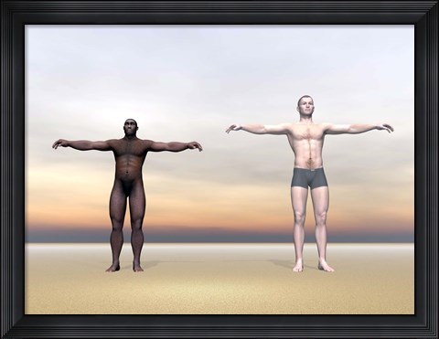 Framed Homo Erectus man next to modern human being Print