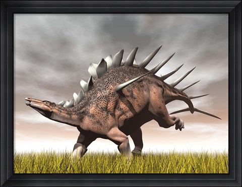 Framed Kentrosaurus dinosaur running on the yellow grass Print