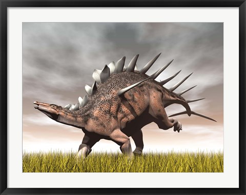 Framed Kentrosaurus dinosaur running on the yellow grass Print
