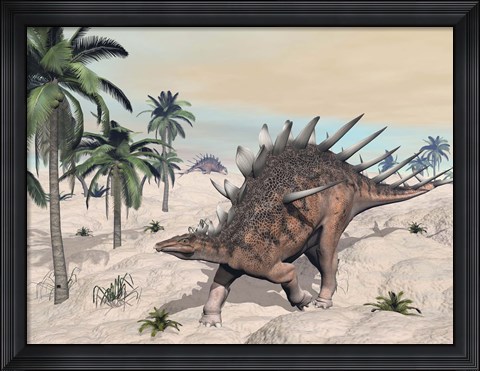 Framed Kentrosaurus dinosaurs walking in the desert among palm trees Print