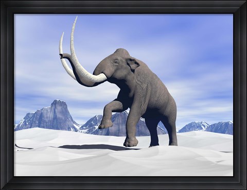 Framed Large mammoth walking slowly on the snowy mountain Print