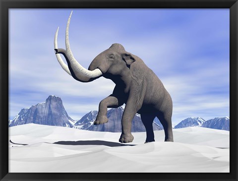Framed Large mammoth walking slowly on the snowy mountain Print