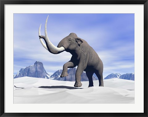 Framed Large mammoth walking slowly on the snowy mountain Print