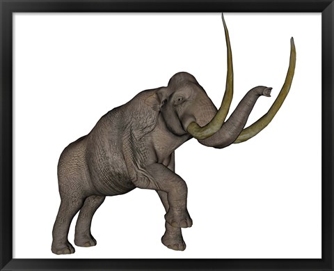 Framed Large mammoth, white background Print