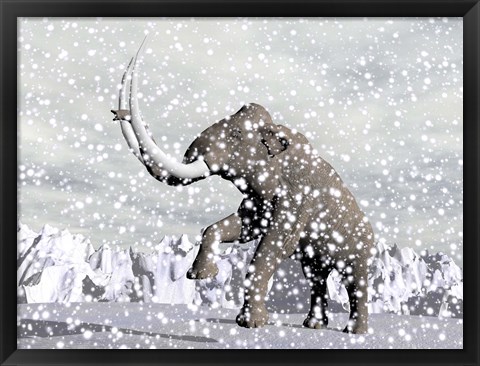 Framed Mammoth walking through a blizzard on mountain Print