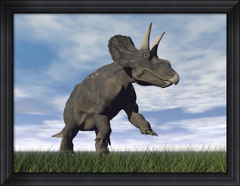 Framed Nedoceratops dinosaur grazing in grassy field Print