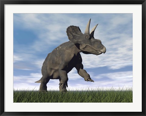 Framed Nedoceratops dinosaur grazing in grassy field Print