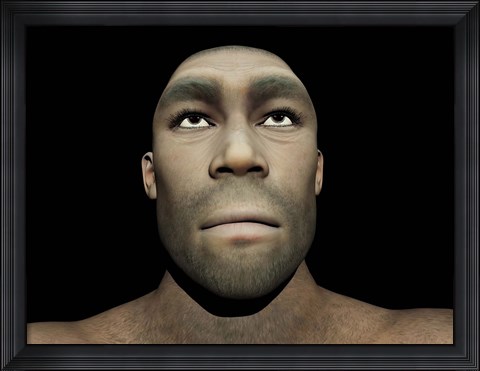 Framed Portrait of a male Homo Erectus Print
