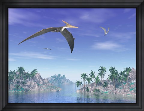 Framed Pteranodon birds flying above islands with palm trees Print