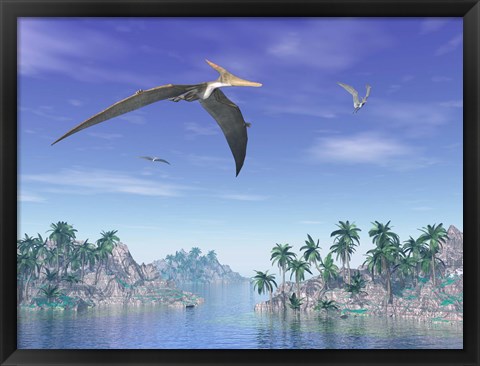 Framed Pteranodon birds flying above islands with palm trees Print