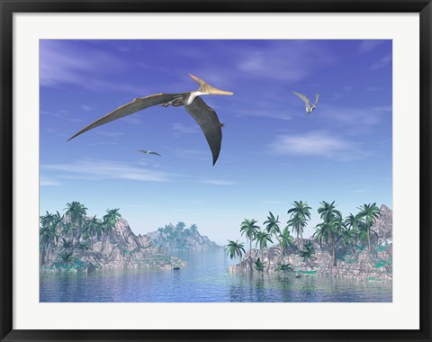 Framed Pteranodon birds flying above islands with palm trees Print