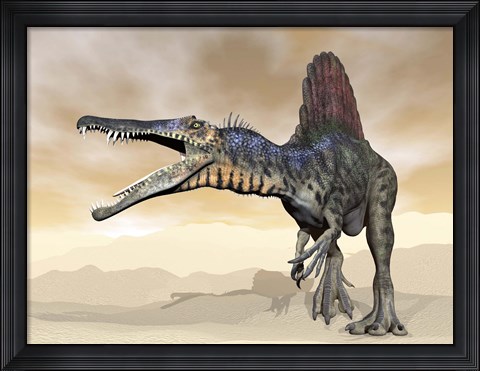 Framed Spinosaurus dinosaur roaring in the desert Print