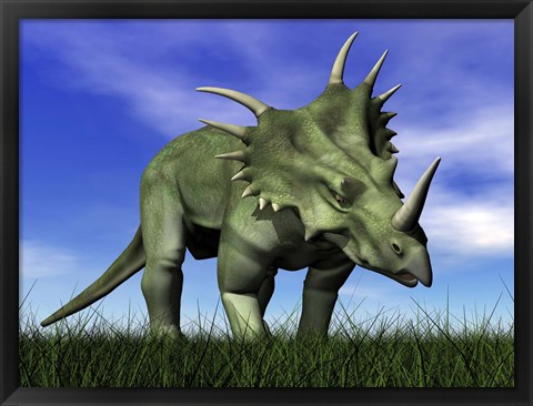 Framed Styracosaurus dinosaur walking in the grass Print