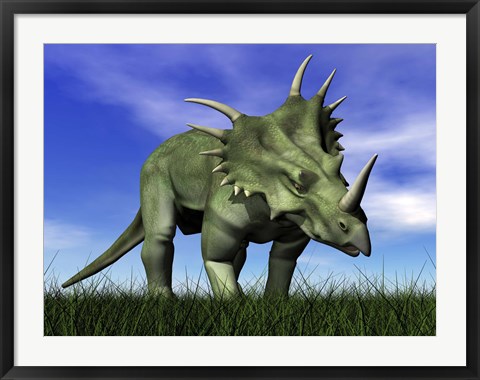 Framed Styracosaurus dinosaur walking in the grass Print