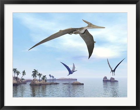 Framed Three pteranodons flying over landscape with hills, palm trees and water Print