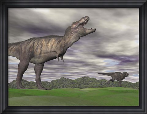 Framed Tyrannosaurus Rex growling as a fellow T-Rex runs away Print