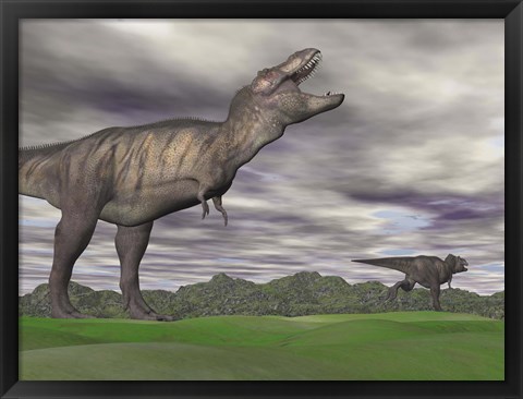 Framed Tyrannosaurus Rex growling as a fellow T-Rex runs away Print