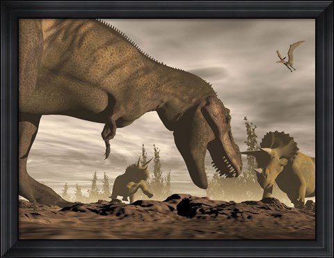Framed Tyrannosaurus Rex roaring at two Triceratops on rocky terrain Print