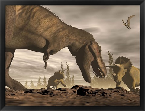 Framed Tyrannosaurus Rex roaring at two Triceratops on rocky terrain Print