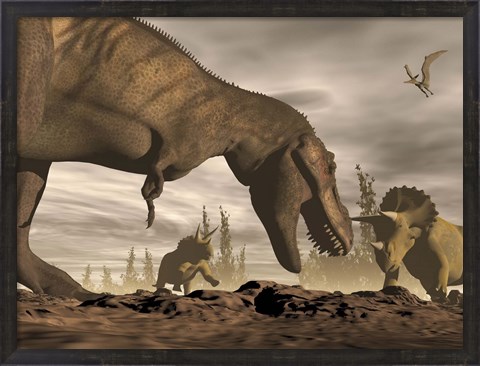 Framed Tyrannosaurus Rex roaring at two Triceratops on rocky terrain Print