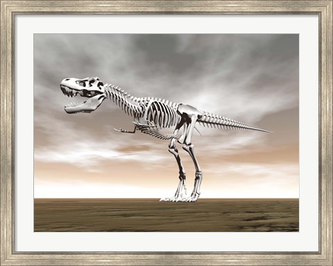 Framed Tyrannosaurus rex skeleton Print