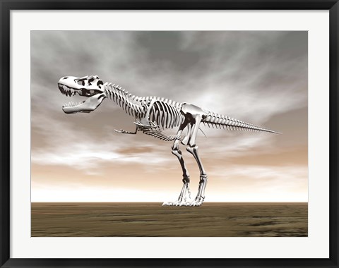 Framed Tyrannosaurus rex skeleton Print