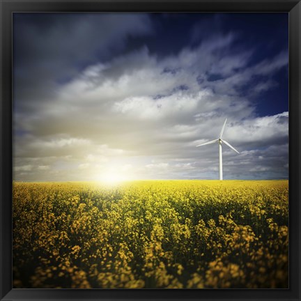 Framed Wind turbine in a canola field against cloudy sky at sunset, Denmark Print