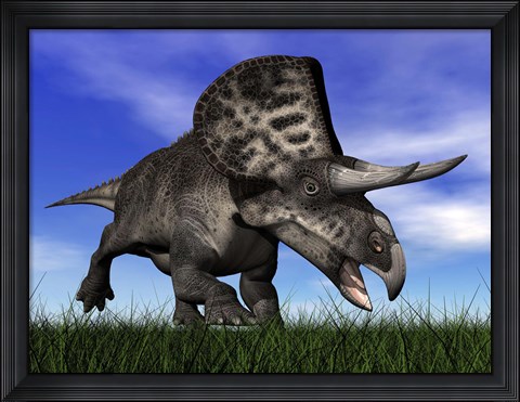 Framed Zuniceratops dinosaur running in the grass Print