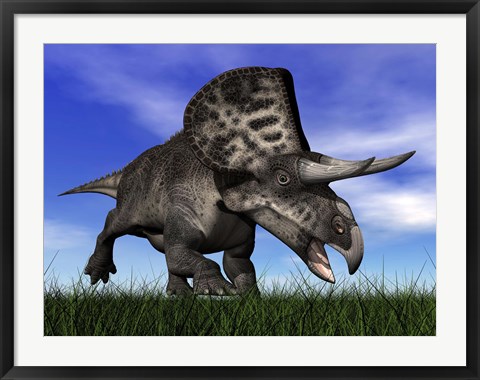 Framed Zuniceratops dinosaur running in the grass Print