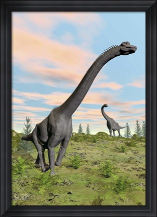 Framed Two brachiosaurus dinosaurs in a prehistoric environment Print