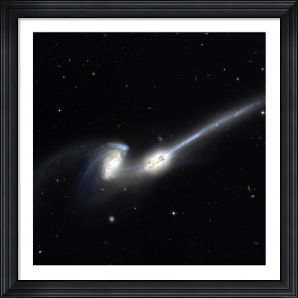 Framed Mice Galaxies Print