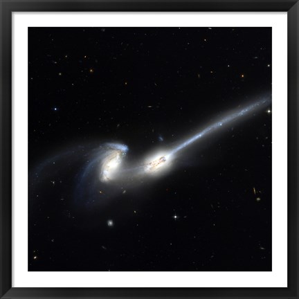 Framed Mice Galaxies Print