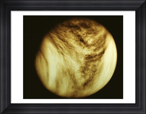 Framed Venus - tan Print