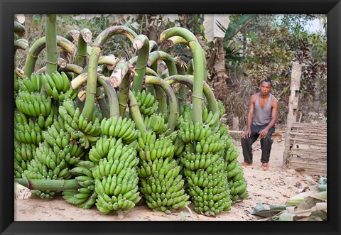 Framed India, Meghalaya, Bajengdoba, Bananas and the man who picked them Print