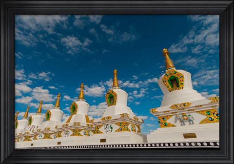 Framed India, Jammu and Kashmir, Ladakh, Leh, chortens at Thiksey Monastery Print