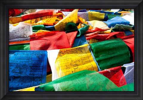 Framed Prayer flags, Namshangla Pass, Ladakh, India Print
