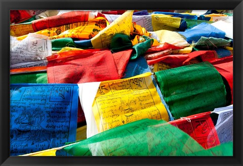 Framed Prayer flags, Namshangla Pass, Ladakh, India Print