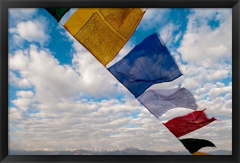 Framed Prayer flags, Leh, Ladakh, India Print