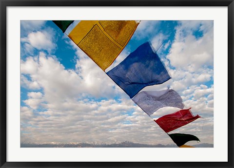 Framed Prayer flags, Leh, Ladakh, India Print