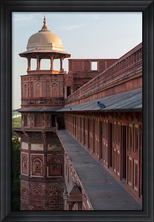 Framed Two pigeons sit on the roof&#39;s ledge, Agra fort, India Print