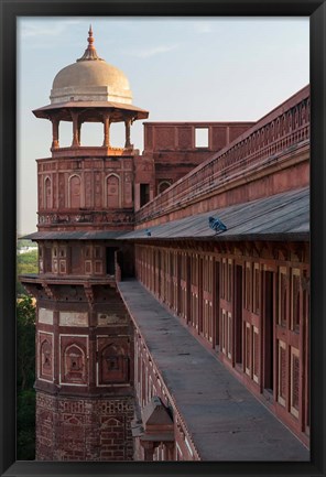 Framed Two pigeons sit on the roof&#39;s ledge, Agra fort, India Print