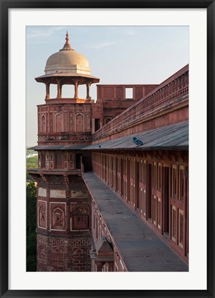 Framed Two pigeons sit on the roof&#39;s ledge, Agra fort, India Print